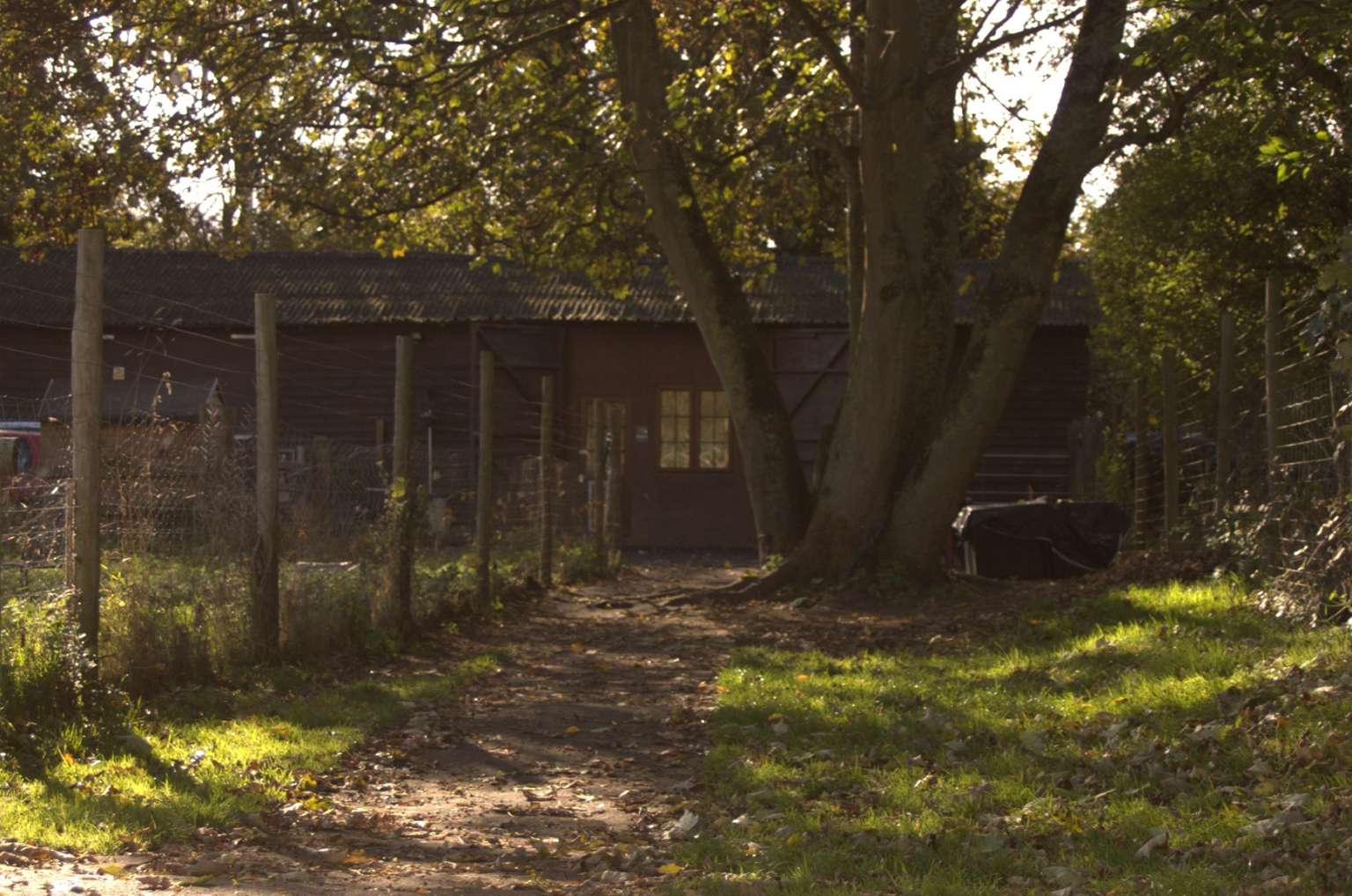 Paddock Hire PAWs of Pangbourne